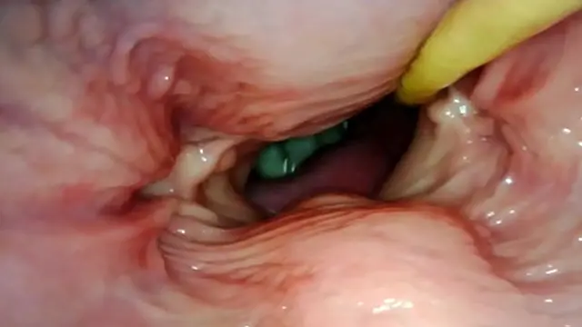 Intimate Cumfill From Within Her Vagina🌮️ - Thrilling Internal POV Experience