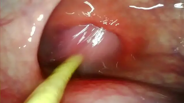 Deep thrusts as my thick cock🍆 forces cum inside her tight ass🍑 from every angle