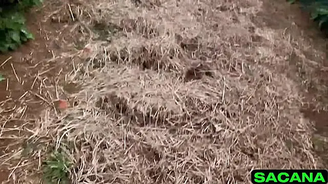 Tasty ass🍑 fucking in the café