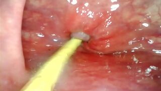 Intense Anal👌 POV: Deep Inside Her as My Big Cock🌭 Pounds and Releases Profoundly