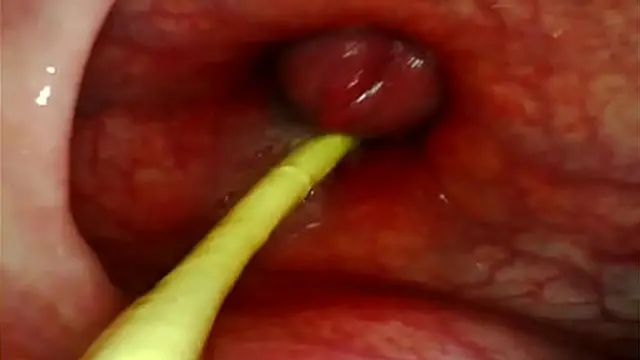 Deep throat creampie cumshot cumshot creampie cumshot cumshot creampie cumshot