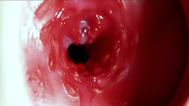 Intense creampie in the butt🍑! Loud moans and plenty of cum!