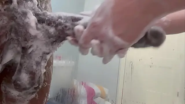 My 19yo stepdaughter and I met in the shower  She was amazed how big my BBC was and ready to take it all in her ass  She teased me with a slow &mdash;  desperate handjob before turning around for anal Her moans grew louder as pounded her ass begging me to